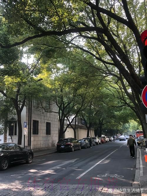 安帅:居勒尔已经做好了准备 我会给他比赛时间 安帅:居勒尔已经做好了准备 我会给他比赛时间